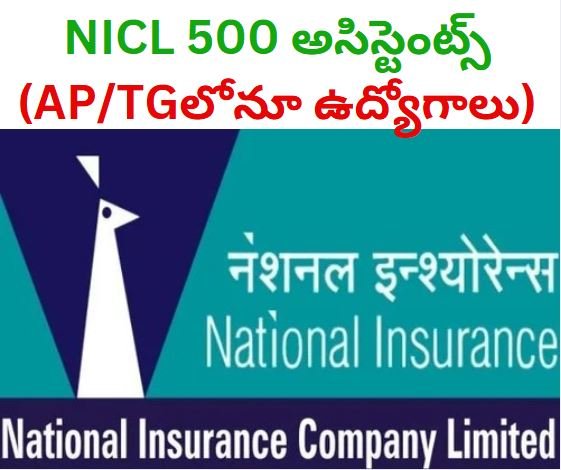 NICL 500 Assistant posts : NICL లో 500 అసిస్టెంట్ పోస్టులు ఖాళీ : Salary- 24K-62K