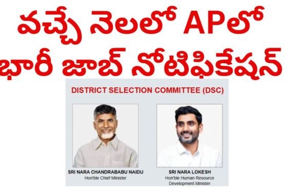 ap dsc notification 2024