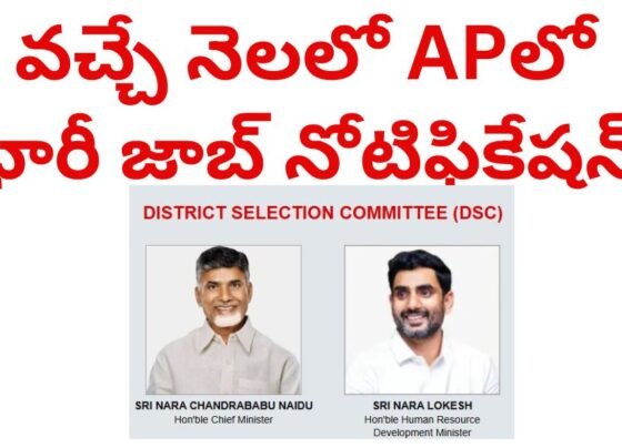 ap dsc notification 2024